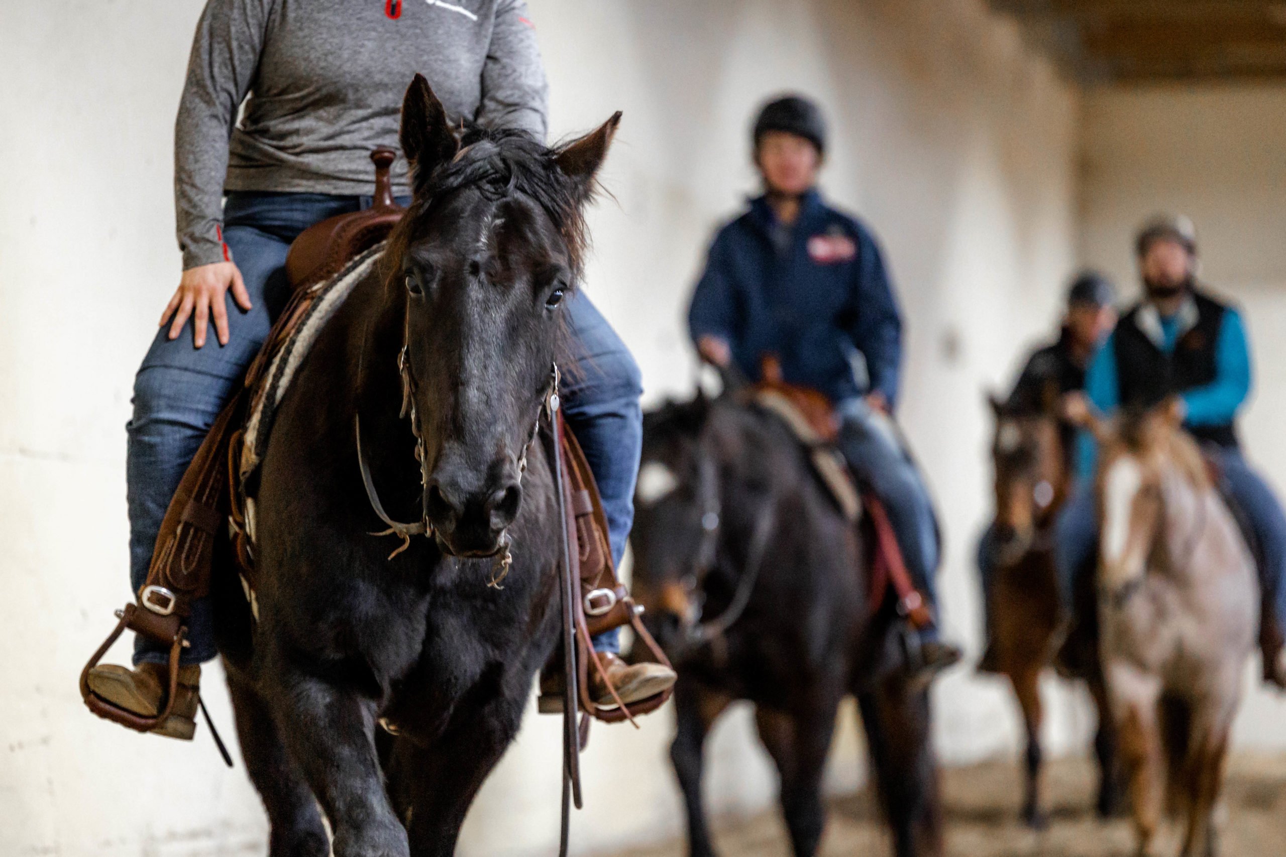 BraveHearts Therapeutic Riding & Educational Center